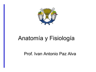 Anatomía y Fisiología  Prof. Ivan Antonio Paz Alva 