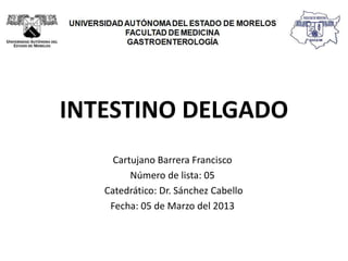 INTESTINO DELGADO
Cartujano Barrera Francisco
Número de lista: 05
Catedrático: Dr. Sánchez Cabello
Fecha: 05 de Marzo del 2013
 