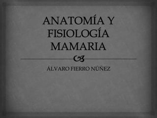 ANATOMÍA Y FISIOLOGÍA MAMARIA ÁLVARO FIERRO NÚÑEZ 