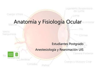 Anatomía y Fisiología Ocular
Estudiantes Postgrado
Anestesiología y Reanimación UIS
 