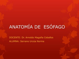 ANATOMÍA DE ESÓFAGO
DOCENTE: Dr. Arnoldo Magaña Ceballos

ALUMNA: Serrano Urzúa Norma

 