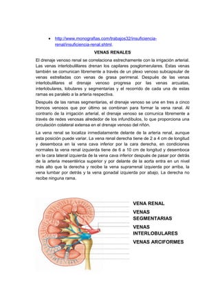 Anatomía y fisiologia del riño | DOC