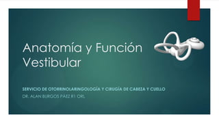 Anatomía y Función
Vestibular
SERVICIO DE OTORRINOLARINGOLOGÍA Y CIRUGÍA DE CABEZA Y CUELLO
DR. ALAN BURGOS PÁEZ R1 ORL

 