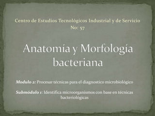 Centro de Estudios Tecnológicos Industrial y de Servicio 
No: 57 
Modulo 2: Procesar técnicas para el diagnostico microbiológico 
Submódulo 1: Identifica microorganismos con base en técnicas 
bacteriológicas 
 