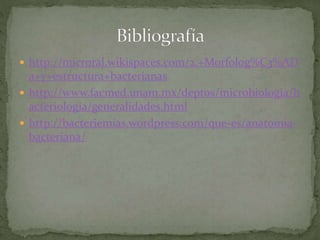  http://microral.wikispaces.com/2.+Morfolog%C3%AD 
a+y+estructura+bacterianas 
 http://www.facmed.unam.mx/deptos/microbiologia/b 
acteriologia/generalidades.html 
 http://bacteriemias.wordpress.com/que-es/anatomia-bacteriana/ 

