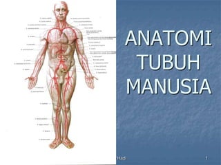 Anatomi Tubuh Manusia by Indriono Hadi 1
ANATOMI
TUBUH
MANUSIA
 