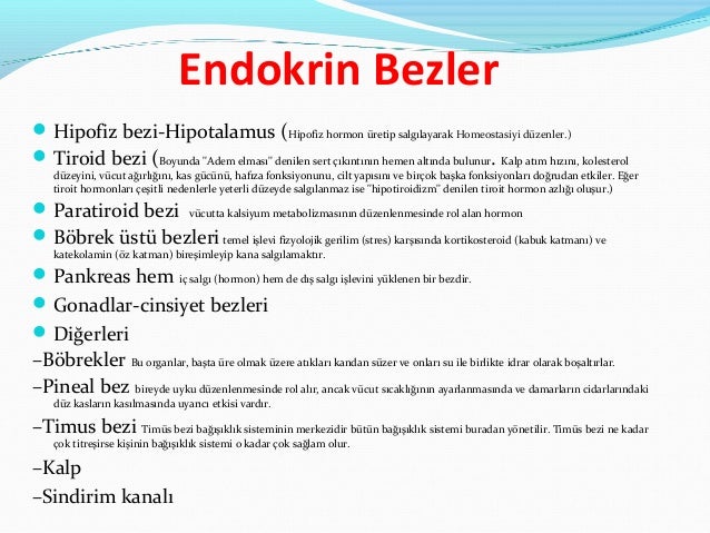Anatomi Ders Notu Notedu