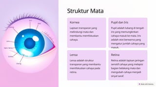 Struktur Mata
Kornea
Lapisan transparan yang
melindungi mata dan
membantu memfokuskan
cahaya.
Pupil dan Iris
Pupil adalah lubang di tengah
iris yang memungkinkan
cahaya masuk ke mata. Iris
adalah otot berwarna yang
mengatur jumlah cahaya yang
masuk.
Lensa
Lensa adalah struktur
transparan yang membantu
memfokuskan cahaya pada
retina.
Retina
Retina adalah lapisan jaringan
sensitif cahaya yang melapisi
bagian belakang mata dan
mengubah cahaya menjadi
sinyal saraf.
 