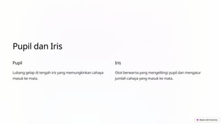 Pupil dan Iris
Pupil
Lubang gelap di tengah iris yang memungkinkan cahaya
masuk ke mata.
Iris
Otot berwarna yang mengelilingi pupil dan mengatur
jumlah cahaya yang masuk ke mata.
 