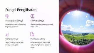 Fungsi Penglihatan
Penangkapan Cahaya
Mata menangkap cahaya dari
lingkungan sekitar.
Konversi Cahaya
Mata mengubah cahaya menjadi
sinyal saraf.
Transmisi Sinyal
Sinyal saraf dikirim ke otak
melalui saraf optik.
Pemrosesan Citra
Otak memproses sinyal saraf
untuk menghasilkan persepsi
visual.
 