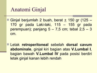 Anatomi Ginjal Ginjal berjumlah 2 buah, berat  +  150 gr (125 – 170 gr pada Laki-laki, 115 – 155 gr pada perempuan); panjang 5 – 7,5 cm; tebal 2,5 – 3 cm. Letak  retroperitoneal  sebelah   dorsal cavum   abdominale , ginjal kiri bagian atas  V.Lumbal I , bagian bawah  V.Lumbal IV  pada posisi berdiri letak ginjal kanan lebih rendah   