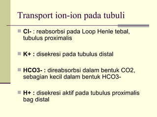 Transport ion-ion pada tubuli Cl-  : reabsorbsi pada Loop Henle tebal, tubulus proximalis K+ :  disekresi pada tubulus distal HCO3- :  direabsorbsi dalam bentuk CO2, sebagian kecil dalam bentuk HCO3- H+ :  disekresi aktif pada tubulus proximalis bag distal 