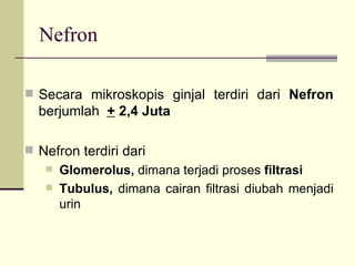 Nefron Secara mikroskopis ginjal terdiri dari  Nefron  berjumlah  +  2,4 Juta Nefron terdiri dari  Glomerolus,  dimana terjadi proses  filtrasi Tubulus,  dimana cairan filtrasi diubah menjadi urin 