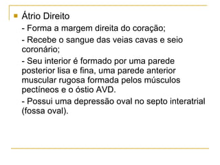 Átrio Direito - Forma a margem direita do coração; - Recebe o sangue das veias cavas e seio coronário; - Seu interior é formado por uma parede posterior lisa e fina, uma parede anterior muscular rugosa formada pelos músculos pectíneos e o óstio AVD. - Possui uma depressão oval no septo interatrial (fossa oval). 