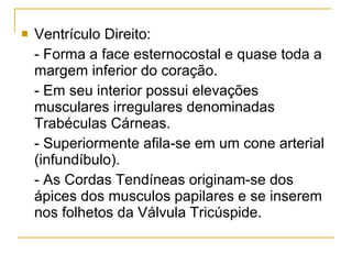 Ventrículo Direito: - Forma a face esternocostal e quase toda a margem inferior do coração. - Em seu interior possui elevações musculares irregulares denominadas Trabéculas Cárneas. - Superiormente afila-se em um cone arterial (infundíbulo). - As Cordas Tendíneas originam-se dos ápices dos musculos papilares e se inserem nos folhetos da Válvula Tricúspide. 
