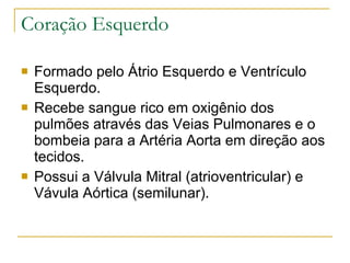 Coração Esquerdo Formado pelo Átrio Esquerdo e Ventrículo Esquerdo. Recebe sangue rico em oxigênio dos pulmões através das Veias Pulmonares e o bombeia para a Artéria Aorta em direção aos tecidos. Possui a Válvula Mitral (atrioventricular) e Vávula Aórtica (semilunar). 