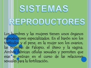 SISTEMAS REPRODUCTORES Los hombres y las mujeres tienen unos órganos reproductores especializados. En el barón son los testículos y el pene, en la mujer son los ovarios, las trompas de Falopio, el útero y la vagina. Ambos fabrican células sexuales y permiten que esas se reúnan en el curso de las relaciones sexuales para la fertilización. 