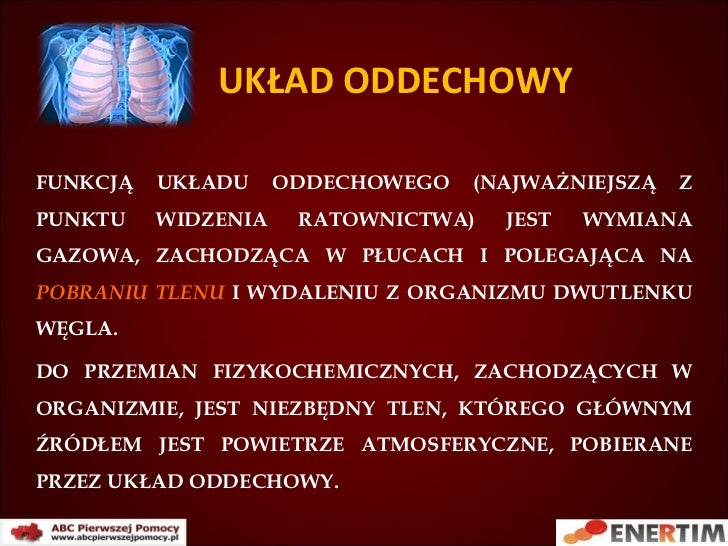 Sprawdzian Z Biologi O Ukladzie Oddechowym