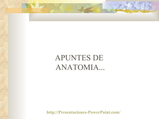 APUNTES DE  ANATOMIA... http://Presentaciones-PowerPoint.com/   