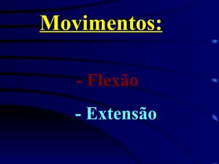 Movimentos:   - Flexão   - Extensão 