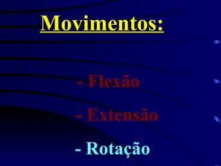 Movimentos:   - Flexão   - Extensão   - Rotação 