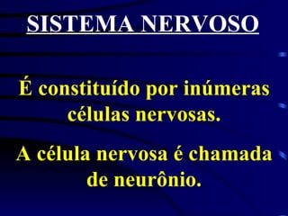 SISTEMA NERVOSO É constituído por inúmeras células nervosas. A célula nervosa é chamada de neurônio. 