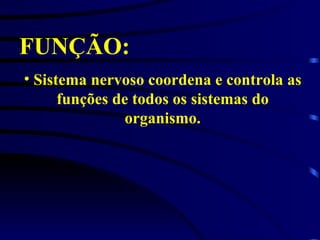 FUNÇÃO:   Sistema nervoso coordena e controla as funções de todos os sistemas do organismo. 