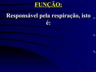 FUNÇÃO: Responsável pela respiração, isto é: 