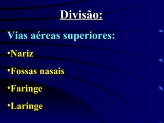 Divisão: Vias aéreas superiores: Nariz Fossas nasais Faringe Laringe 