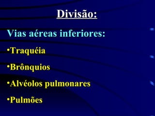 Divisão: Vias aéreas inferiores: Traquéia Brônquios Alvéolos pulmonares Pulmões 