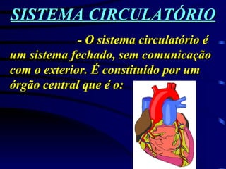 SISTEMA CIRCULATÓRIO - O sistema circulatório é um sistema fechado, sem comunicação com o exterior. É constituído por um órgão central que é o: 