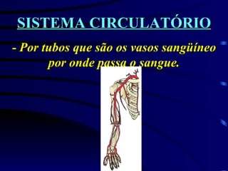 SISTEMA CIRCULATÓRIO - Por tubos que são os vasos sangüíneo por onde passa o sangue. 