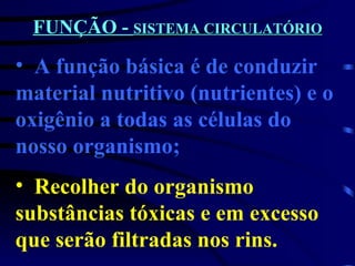 FUNÇÃO -  SISTEMA CIRCULATÓRIO A função básica é de conduzir material nutritivo (nutrientes) e o oxigênio a todas as células do nosso organismo; Recolher do organismo substâncias tóxicas e em excesso que serão filtradas nos rins. 