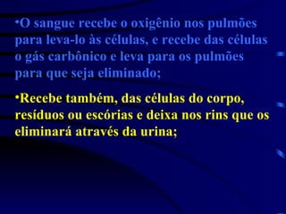 O sangue recebe o oxigênio nos pulmões para leva-lo às células, e recebe das células o gás carbônico e leva para os pulmões para que seja eliminado; Recebe também, das células do corpo, resíduos ou escórias e deixa nos rins que os eliminará através da urina; 