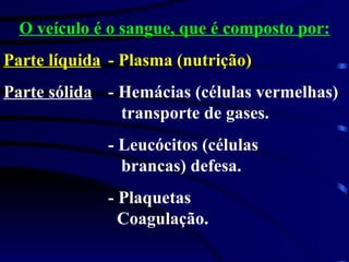O veículo é o sangue, que é composto por: Parte líquida - Plasma (nutrição) Parte sólida - Hemácias (células vermelhas)    transporte de gases. - Leucócitos (células    brancas) defesa. - Plaquetas      Coagulação. 