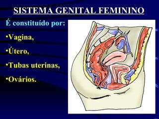 SISTEMA GENITAL FEMININO É constituído por: Vagina, Útero, Tubas uterinas, Ovários. 