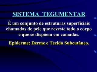 SISTEMA  TEGUMENTAR É um conjunto de estruturas superficiais chamadas de pele que reveste todo o corpo e que se dispõem em camadas. Epiderme; Derme e Tecido Subcutâneo. 