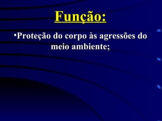 Função: Proteção do corpo às agressões do meio ambiente; 