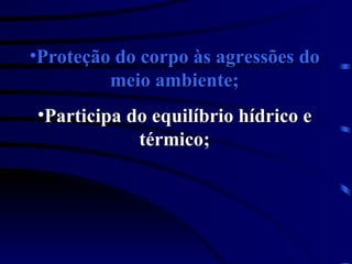 Proteção do corpo às agressões do meio ambiente; Participa do equilíbrio hídrico e térmico; 