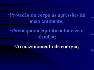 Proteção do corpo às agressões do meio ambiente; Participa do equilíbrio hídrico e térmico; Armazenamento de energia; 