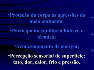 Proteção do corpo às agressões do meio ambiente; Participa do equilíbrio hídrico e térmico; Armazenamento de energia; Percepção sensorial de superfície: tato, dor, calor, frio e pressão. 