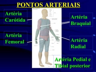 PONTOS ARTERIAIS Artéria Carótida Artéria Femoral Artéria Radial Artéria Braquial Artéria Pedial e Tibial posterior 