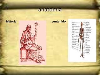 anatomia
historia       contenido
 