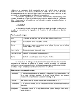 relajaremos la musculatura de la masticación y de este modo la boca se abrirá sin
producirse tensiones musculares que afectarían la calidad de la voz. Por esta razón,
algunos maestros de canto en el momento de vocalizar hacen que sus alumnos se den
un masaje en la cara para ayudar a relajar dicha musculatura.
        Los músculos suprahiodeos, que veíamos anteriormente, al contraerse pueden
provocar el descenso forzado de la mandíbula abriendo la boca con fuerza. Esta acción
debe evitarse durante la fonación ya que la tensión muscular generada dificultará la
producción de la voz.

        4.3.3 LENGUA

       La lengua es un órgano musculoso situado en el suelo de la boca, implicado en la
succión, la masticación, la deglución y la fonación. En ella distinguimos distintas
porciones.

Porciones de la lengua

Raíz                 Es la base de la lengua, que se sitúa por delante de la epiglotis.

Cuerpo               Se sitúa entre la raíz y el vértice o punta.

Dorso                Es convexo y se pone en contacto con el paladar duro y el velo del paladar
                     cuando la boca está cerrada.

Cara inferior        Descansa sobre el suelo de la boca.

Vértice o punta       Se sitúa habitualmente entre los incisivos.

Borde                Contacta a cada lado con las encías y los dientes.


        La musculatura de la lengua se divide en extrínseca e intrínseca. Los músculos
intrínsecos se hallan en el interior de la lengua y varían su forma. Los músculos
extrínsecos unen la lengua a diferentes porciones óseas y actúan cambiando su posición
en la boca aunque también pueden determinar cambios en su forma.

Músculos extrínsecos de la lengua

Geniogloso        Es el más potente músculo de la lengua y constituye su volumen posterior. Las
                  fibras más inferiores desplazan la lengua hacia delante; las restantes
                  traccionan la lengua hacia el suelo de la boca (fig. 23 c).

Hiogloso          Si el hioides está fijo, lleva la lengua hacia atrás y abajo (fig. 23 g).

Condrogloso       Es un fascículo variable, que en caso de existir, tiene las mismas acciones que
                  el anterior.

Estilogloso       Tracciona el vértice de la lengua hacia atrás y toda la lengua hacia atrás y
                  arriba (fig. 23 h).
 