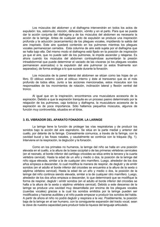 Los músculos del abdomen y el diafragma intervendrán en todos los actos de
expulsión: tos, estornudo, micción, defecación, vómito y en el parto. Para que se pueda
dar la acción conjunta del diafragma y de los músculos del abdomen es necesaria la
acción de la laringe. Antes de cualquier acto de expulsión se produce una inspiración
profunda y la aducción (acercamiento) de los pliegues vocales, impidiendo la salida del
aire inspirado. Este aire quedará contenido en los pulmones mientras los pliegues
vocales permanezcan cerrados. Esta columna de aire está sujeta por el diafragma que
se halla bajo ella. Del mismo modo el diafragma está fijado en la posición de inspiración
ya que el aire, que no puede salir de los pulmones, le impide ascender y relajarse. Es
ahora cuando los músculos del abdomen contrayéndose aumentarán la presión
intraabdomnial que puede determinar el vaciado de las vísceras (si los pliegues vocales
permanecen acercados) o la expulsión del aire pulmonar (si estos finalmente son
separados), de forma análoga a lo que sucede durante la fonación.

        Los músculos de la pared lateral del abdomen se sitúan como las hojas de un
libro. El oblicuo externo cubre al oblicuo interno y éste al transverso que es el más
profundo de todos ellos. Junto a las acciones mencionadas, estos músculos son los
responsables de los movimientos de rotación, inclinación lateral y flexión ventral del
tronco.

        Al igual que en la inspiración, encontramos una musculatura accesoria de la
espiración. Debido a que la espiración tranquila es un proceso pasivo determinado por la
relajación de los pulmones, caja torácica y diafragma, la musculatura accesoria de la
espiración es de poca importancia. Sólo hallamos pequeños músculos, algunos de
función muy controvertida, situados en el tórax.


3. EL VIBRADOR DEL APARATO FONADOR. LA LARINGE

        La laringe tiene la función de proteger las vías respiratorias y de producir los
sonidos bajo la acción del aire espiratorio. Se sitúa en la parte medial y anterior del
cuello, por delante de la faringe. Cranealmente comunica, a través de la faringe, con la
cavidad bucal y las fosas nasales, y caudalmente se continúa con la tráquea (fig. 1).
Interviene en la respiración, la deglución y la fonación.

        Como en los primates no humanos, la laringe del niño se halla en una posición
elevada en el cuello, a la altura de la base occipital o de las primeras vértebras cervicales
(en el neonato, el borde inferior del cartílago cricoides se sitúa entre la tercera y la cuarta
vértebra cervical). Hasta la edad de un año y medio o dos, la posición de la laringe del
niño sigue elevada, similar a la de cualquier otro mamífero. Luego, alrededor de los dos
años empieza a descender, lo cual modifica la manera de respirar, de deglutir y de emitir
sonidos (en el adulto el borde inferior del cricoides se encuentra a la altura de la sexta o
séptima vértebra cervical). Hasta la edad de un año y medio o dos, la posición de la
laringe del niño continúa siendo elevada, similar a la de cualquier otro mamífero. Luego,
alrededor de los dos años empieza a descender, lo que determinará que se modifique la
forma de respirar, deglutir i emitir sonidos (en el adulto el borde inferior del cricoides se
halla a la altura de la sexta o séptima vértebra cervical). Debido a este descenso de la
laringe se produce una cavidad muy desarrollada por encima de los pliegues vocales
(cuerdas vocales) gracias a la cual los sonidos emitidos por la laringe pueden ser
modificados y hacerse audibles y el niño puede empezar a producir los sonidos del habla.
A partir de ahora el niño no podrá deglutir y respirara a la vez. Posiblemente, la posición
baja de la laringe en el ser humano, con la consiguiente expansión del tracto vocal, sean
la clave de nuestra capacidad para producir toda la riqueza del lenguaje articulado.
 