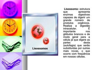 Lisossomo:Lisossomo: estruturaestrutura
que apresentaque apresenta
enzimas digestivasenzimas digestivas
capazes de digerir umcapazes de digerir um
grande número degrande número de
produtos orgânicos.produtos orgânicos.
Realiza a digestãoRealiza a digestão
intracelular. Éintracelular. É
importante nosimportante nos
glóbulos brancos e deglóbulos brancos e de
modo geral para amodo geral para a
célula já que digere ascélula já que digere as
partes destapartes desta
(autofagia) que serão(autofagia) que serão
substituídas por outrassubstituídas por outras
mais novas, o quemais novas, o que
ocorre com freqüênciaocorre com freqüência
em nossas células.em nossas células.
 