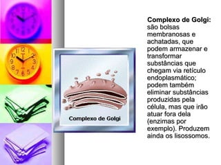 Complexo de Golgi:Complexo de Golgi:
são bolsassão bolsas
membranosas emembranosas e
achatadas, queachatadas, que
podem armazenar epodem armazenar e
transformartransformar
substâncias quesubstâncias que
chegam via retículochegam via retículo
endoplasmático;endoplasmático;
podem tambémpodem também
eliminar substânciaseliminar substâncias
produzidas pelaproduzidas pela
célula, mas que irãocélula, mas que irão
atuar fora delaatuar fora dela
(enzimas por(enzimas por
exemplo). Produzemexemplo). Produzem
ainda os lisossomos.ainda os lisossomos.
 
