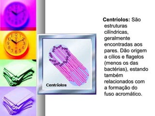 Centríolos:Centríolos: SãoSão
estruturasestruturas
cilíndricas,cilíndricas,
geralmentegeralmente
encontradas aosencontradas aos
pares. Dão origempares. Dão origem
a cílios e flagelosa cílios e flagelos
(menos os das(menos os das
bactérias), estandobactérias), estando
tambémtambém
relacionados comrelacionados com
a formação doa formação do
fuso acromático.fuso acromático.
 