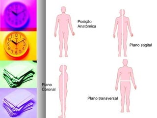Plano sagital
Plano transversal
Plano
Coronal
Posição
Anatômica
 