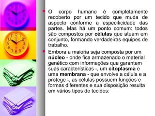  O corpo humano é completamente
recoberto por um tecido que muda de
aspecto conforme a especificidade das
partes. Mas há um ponto comum: todos
são compostos por células que atuam em
conjunto, formando verdadeiras equipes de
trabalho.
 Embora a maioria seja composta por um
núcleo - onde fica armazenado o material
genético com informações que garantem
suas características -, um citoplasma e
uma membrana - que envolve a célula e a
protege -, as células possuem funções e
formas diferentes e sua disposição resulta
em vários tipos de tecidos:
 